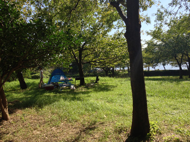 東海ふ頭公園広場