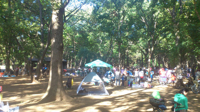 光が丘公園雰囲気